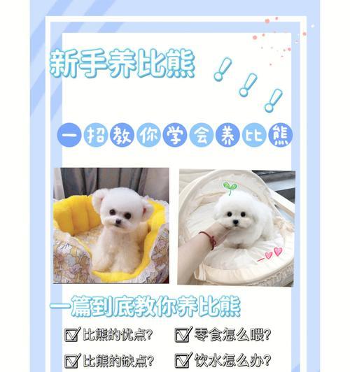 比熊掉毛怎么办？（宠物主人必读！解决比熊掉毛的方法和技巧）