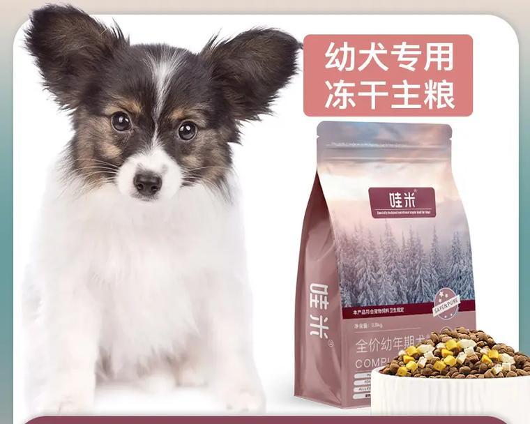 蝴蝶犬幼犬不能吃什么？（宠物健康食谱）