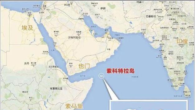 印度洋圆髻角吊的饲养方法（养殖技巧及养殖场环境管理）