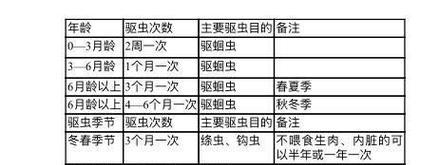 英国银兔的饲养方法（打造健康快乐的宠物生活）