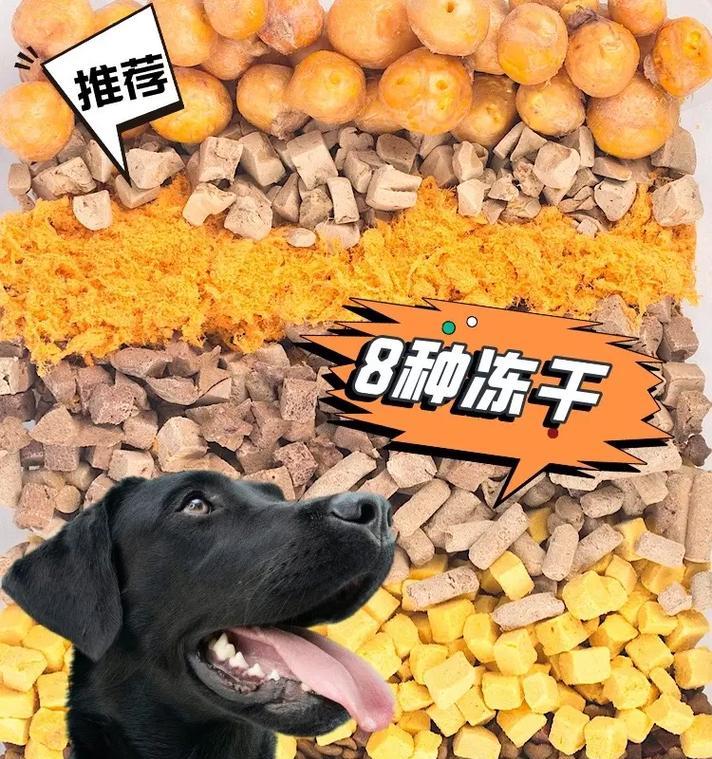 解决狗狗挑食问题的有效方法（应对狗狗不吃狗粮的建议和技巧）