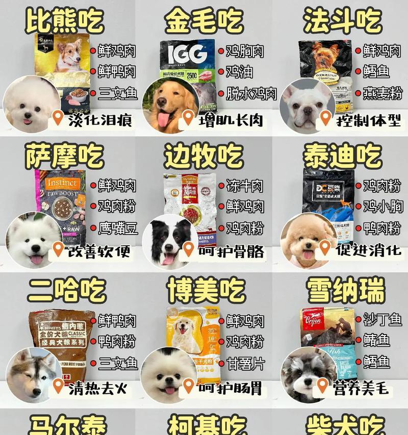 新手如何科学喂养狗狗（狗粮喂养指南，让您的宠物健康快乐成长）