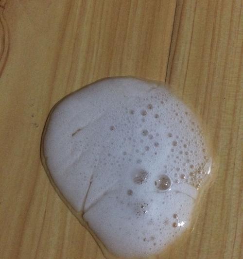如何处理狗狗呕吐问题（处理狗狗呕吐物中的虫子方法及预防）