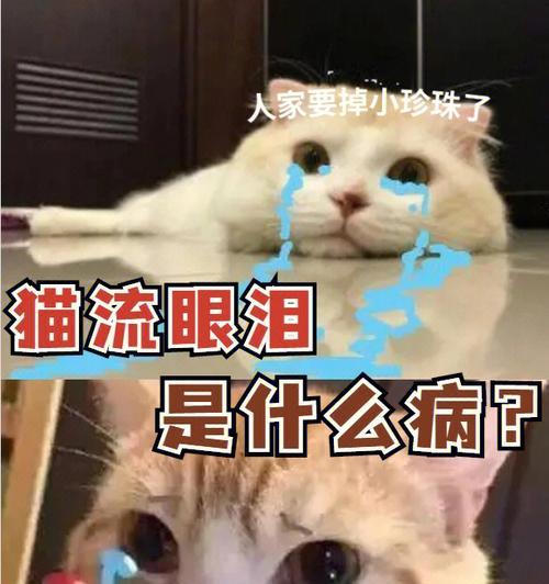 为什么想成为猫？（探索猫的神秘世界）