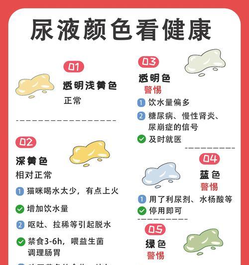 小狗尿的颜色与健康问题（探索小狗尿液的色泽和健康关联）