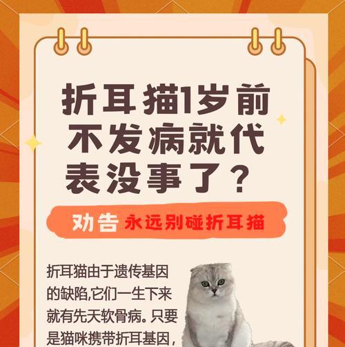 为什么不能把折耳猫作为宠物？（探究折耳猫的遗传缺陷与健康问题）