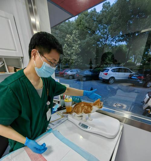 二联疫苗与三联疫苗的区别与选择（了解疫苗种类，保护宝宝健康成长）