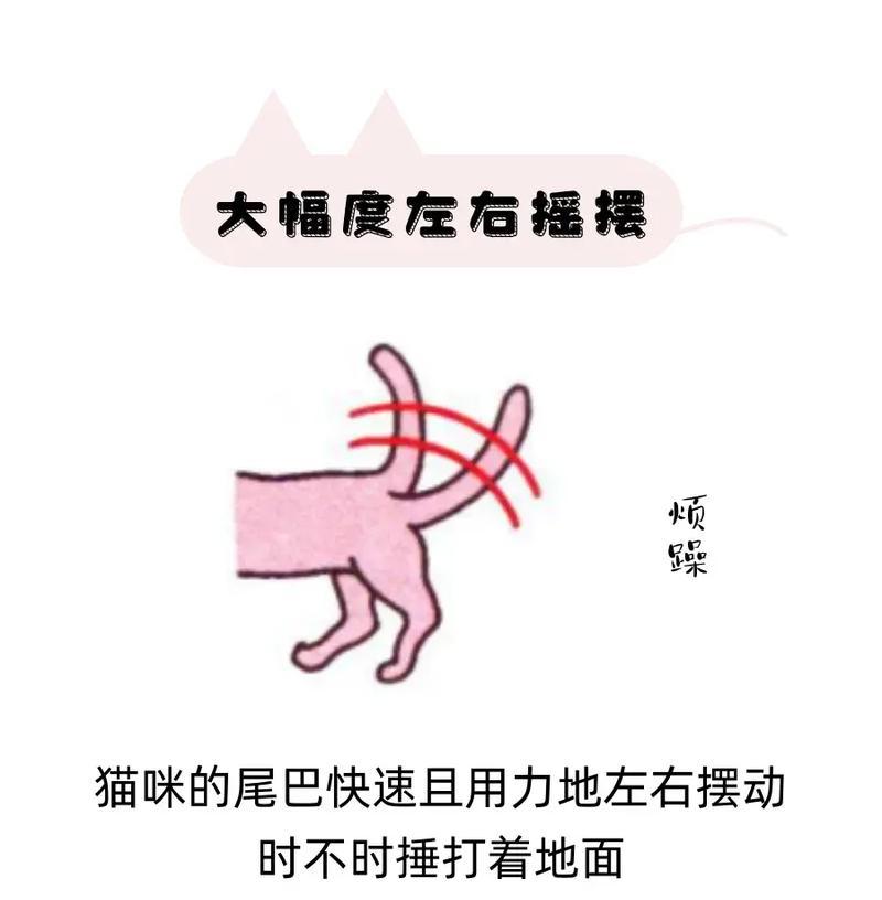 揭秘猫咪竖尾巴的真正含义（猫咪竖尾巴是什么意思？解读猫语言中的秘密）