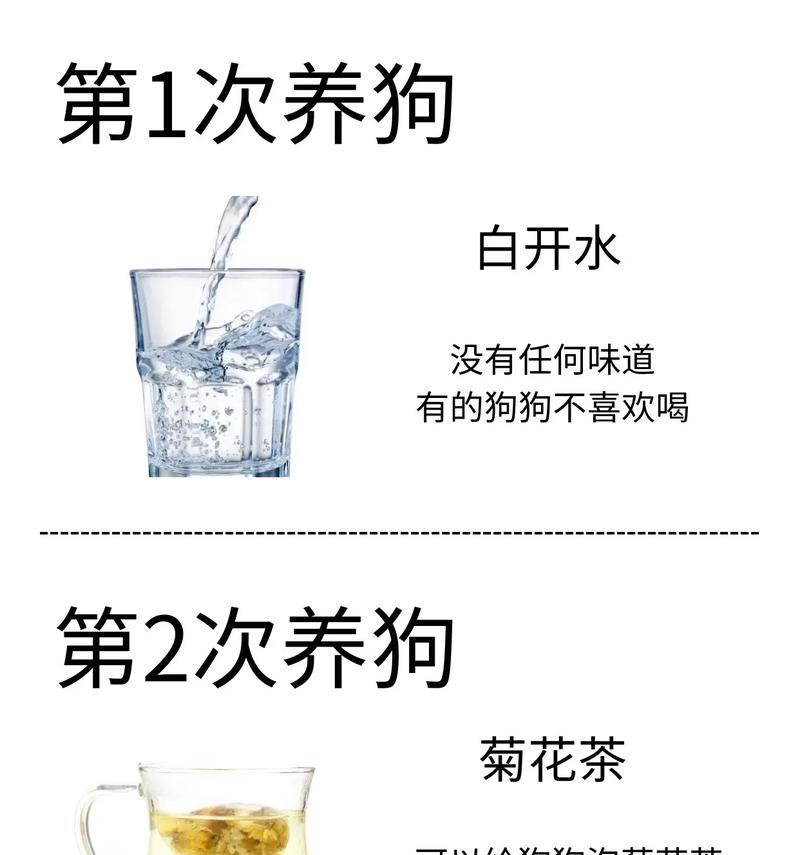 养狗的朋友们注意了！这些食物可以帮助治愈狗狗的皮肤病（了解狗狗皮肤病的诱因及如何通过饮食来改善）