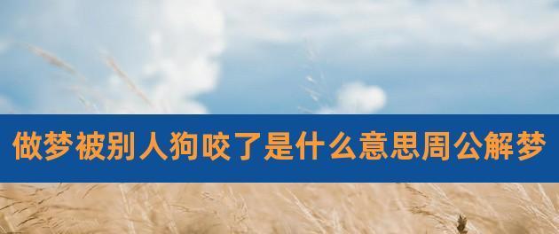 狗用爪子抓你的手的意义解析（狗的爪子行为背后所隐藏的信息及其意义解读）