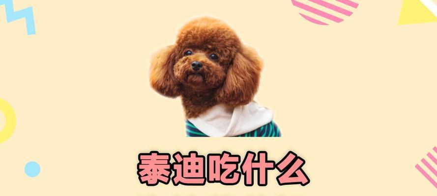 两个月泰迪狗粮推荐（给你的可爱泰迪选择适合的狗粮）