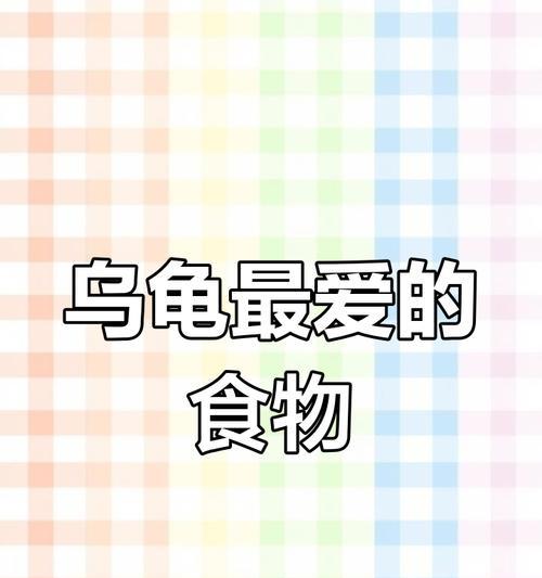 探秘婴儿小乌龟的食谱（了解小乌龟的饮食偏好及饲养要点）