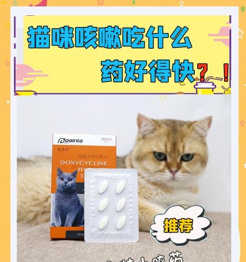 猫的药片选择及用法指南（给你的爱猫正确选择合适的药物，守护它的健康）