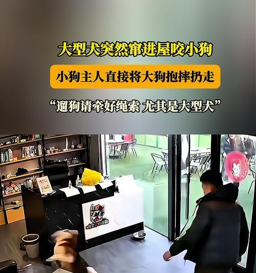 探究狗狗无故咬人的原因（了解狗狗咬人行为背后的秘密）