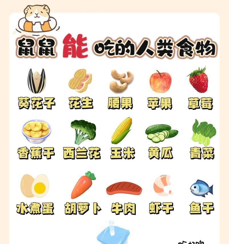 养小仓鼠的最佳时机与技巧（从适宜年龄到合适的环境，让您成为合格的仓鼠父母）