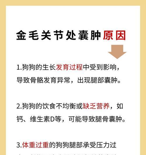 小狗身上长囊肿的原因及处理方法（囊肿形成原因解析及有效的处理措施）