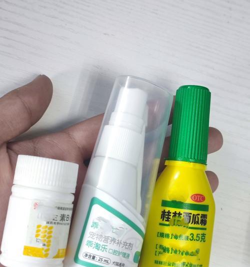怎样处理猫不停流口水不吃东西（探究流口水原因及药物治疗方法）